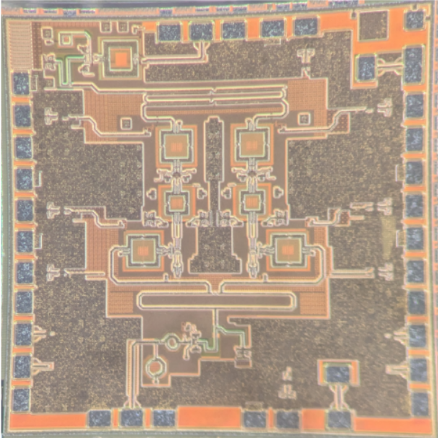 chip image
